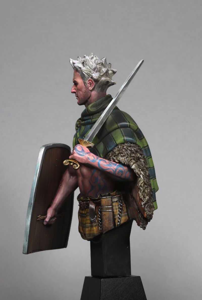 Gaulish Warrior, Alesia, 52 BC_BoxArt for FeR miniatures