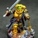 Imperial Fists company's champion