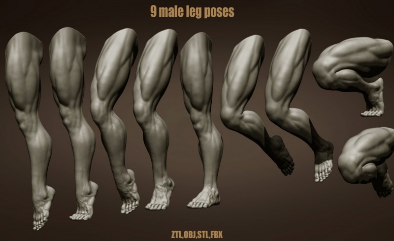 Male leg poses
