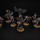 Corvus Cabals Warcry Warband