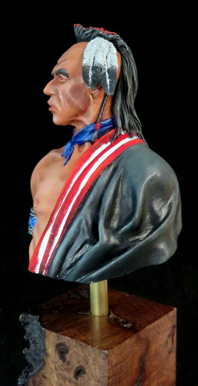 Lakota Warrior