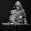 Tang Dynasty Warrior