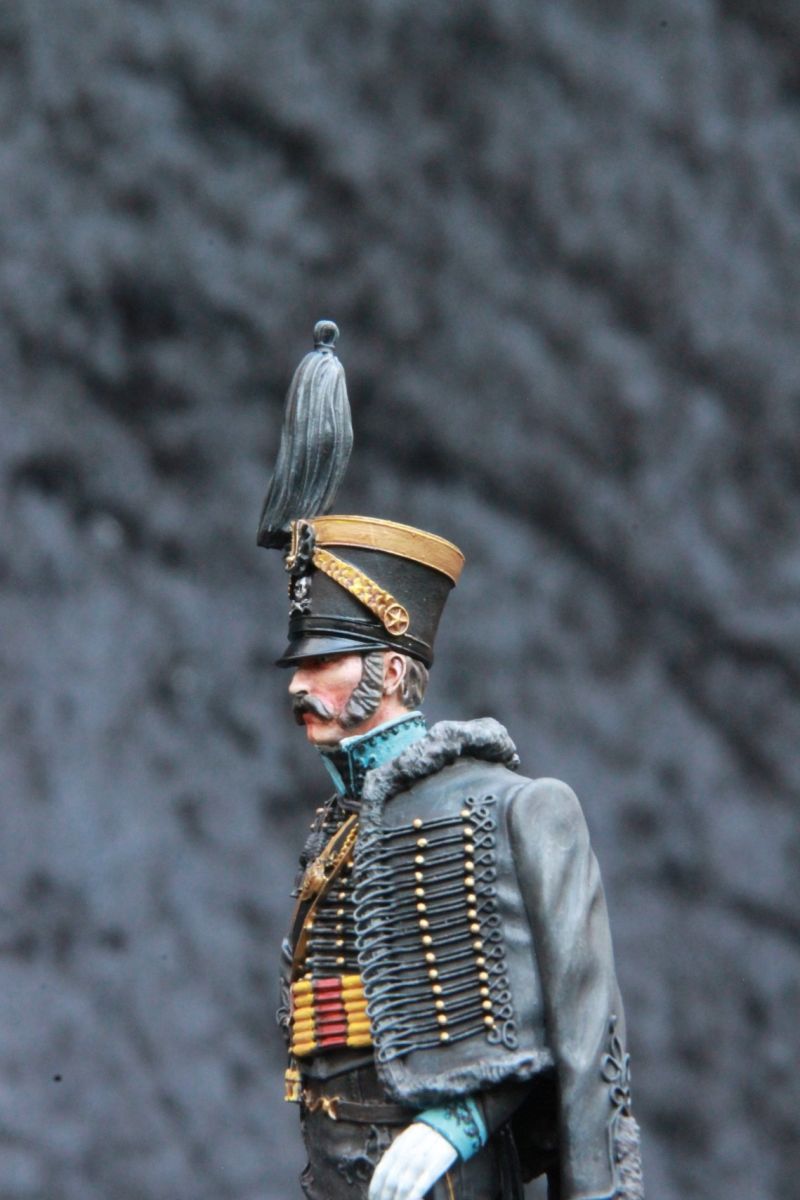 Officer of the Brunswick Hussars 1815
