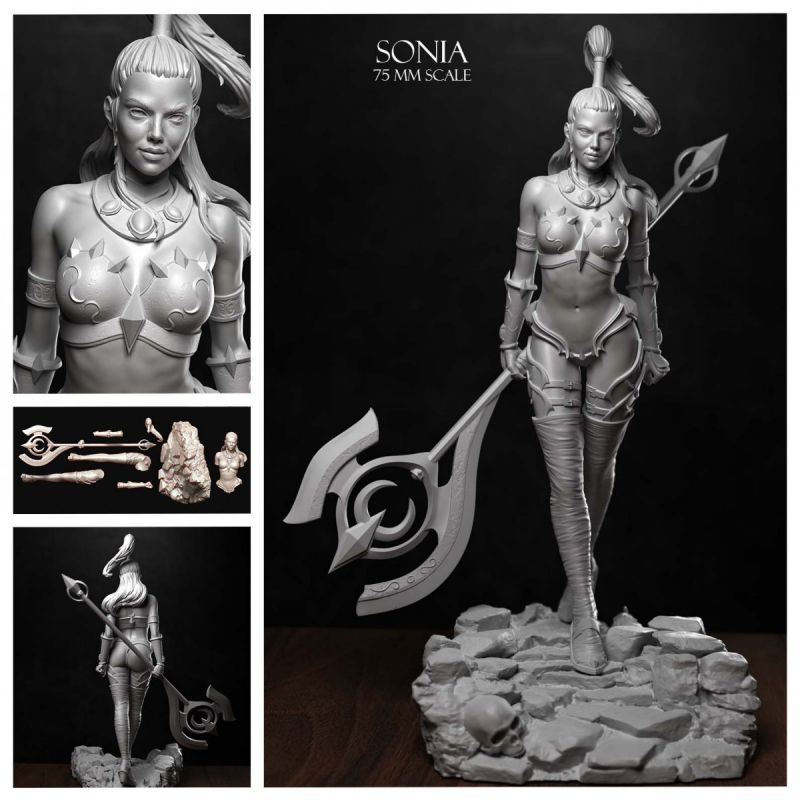 Sonia the Night Warrior