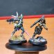 Painted Infinity Parvati and Yemao Limited edition