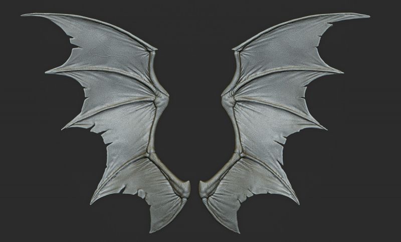 10 Creature wings