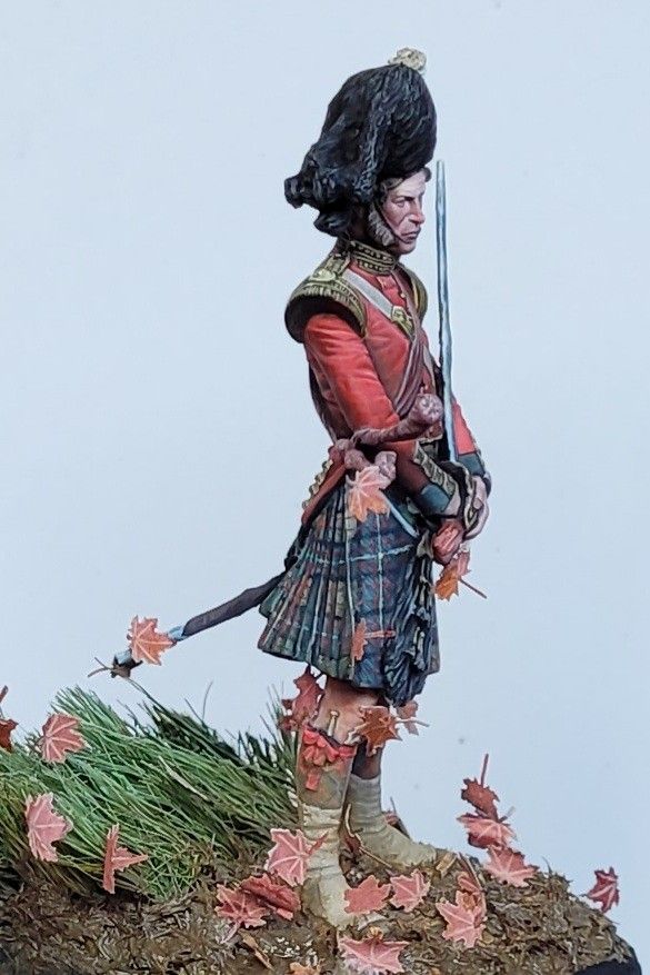 Scottish highlander