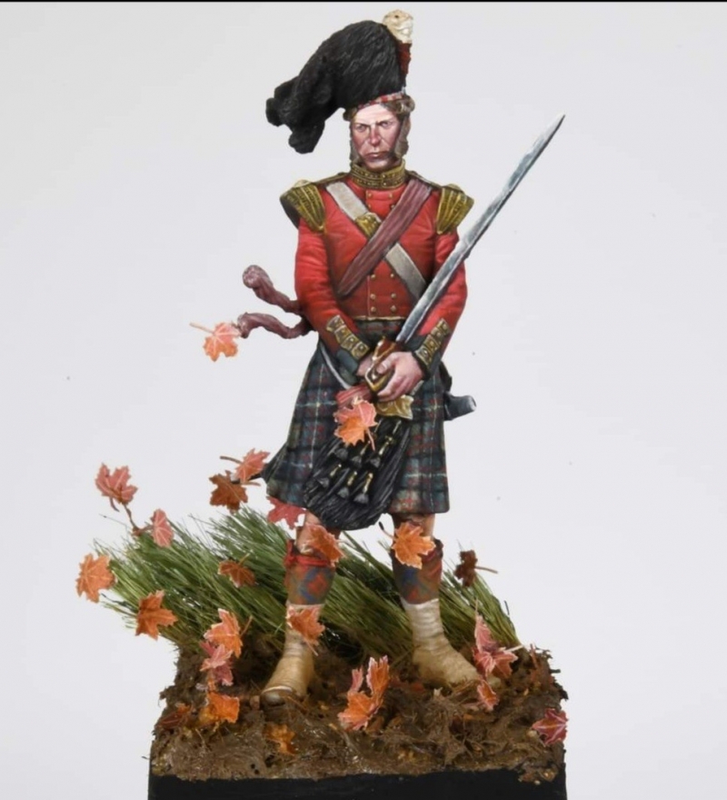 Scottish highlander