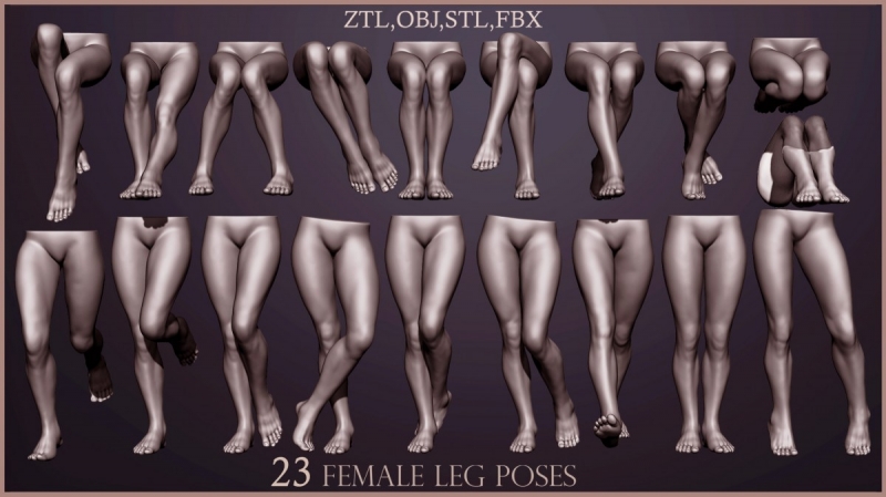 “23 female leg poses”