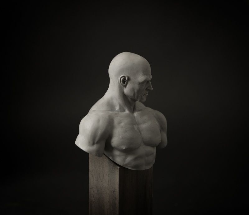 Naked Bust