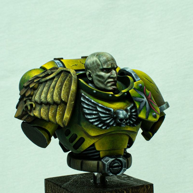 Imperial Fists Bust
