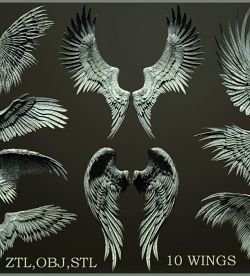 10 wings