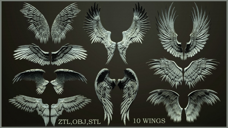 10 wings