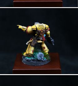 Imperial Fist
