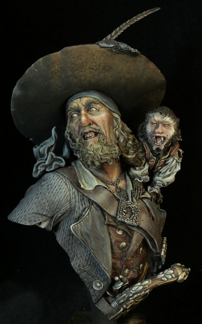 Captain Barbossa - Pirate Fury