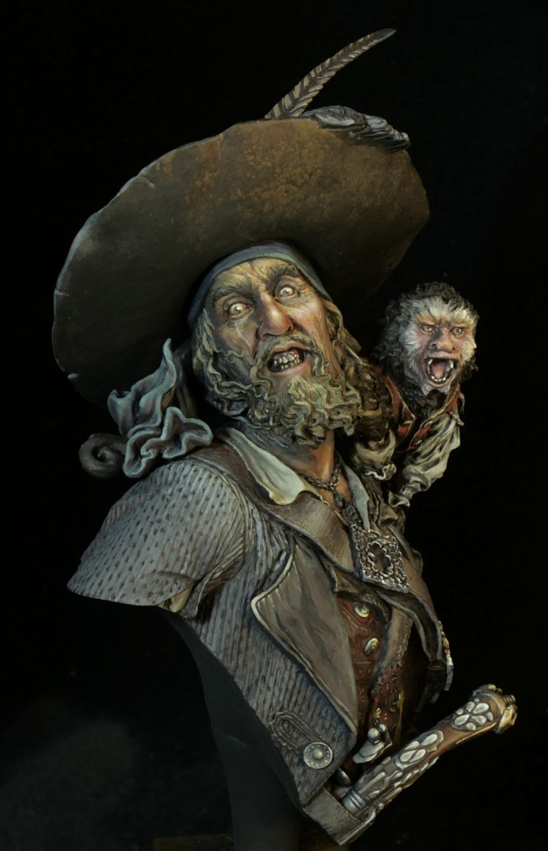 Captain Barbossa - Pirate Fury