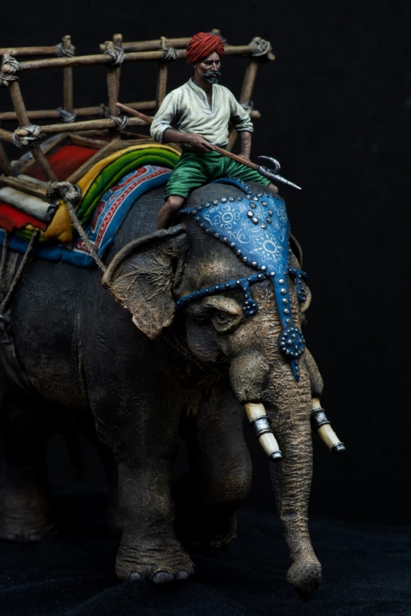 INDIAN ELEPHANT