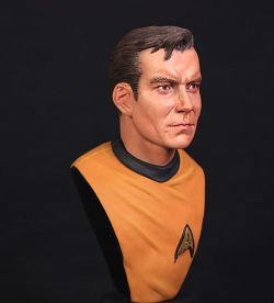 Starfleet Captain