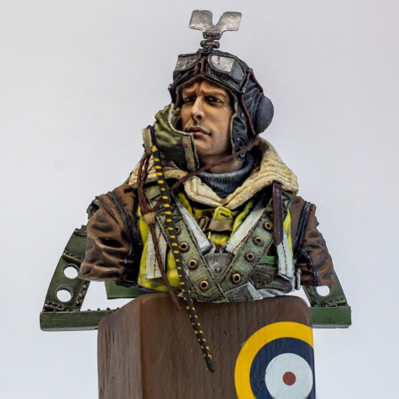 Spitfire pilot. IIWW