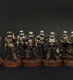Remnant Stormtroopers