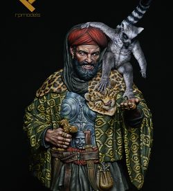 RPmodels Ancient World Pirate