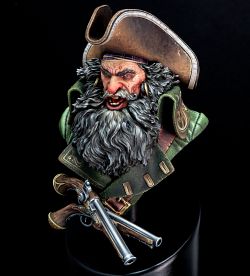 Pirate capitain