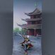 Shaolin Monk Warrior