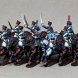 French Napoleonic Line Chasseurs a Cheval , 16 regiment
