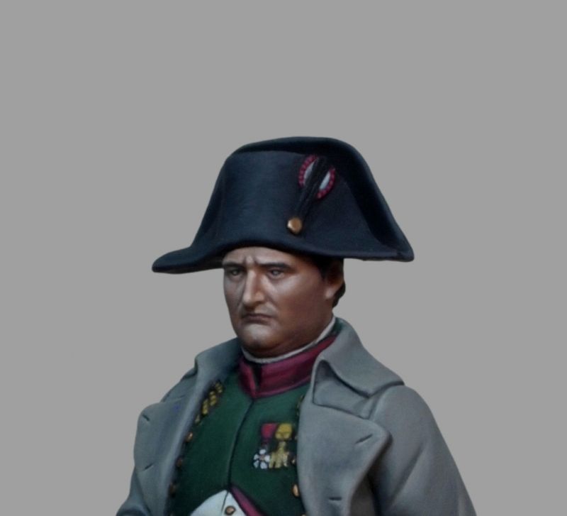 Napoleon in Russia