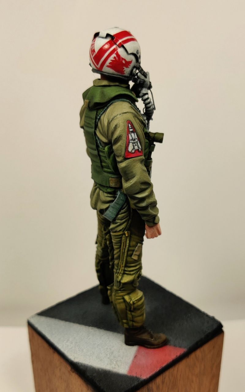 Tomcat Pilot, VF-1 Wolfpack