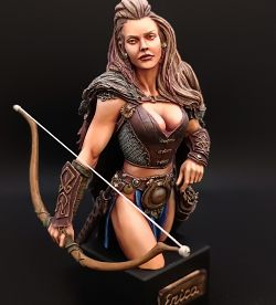 Archer Viking Erica