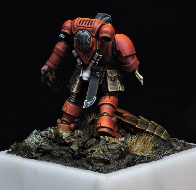 Space Marine Reaver for Display