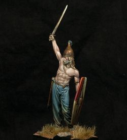 Celtic Chief
