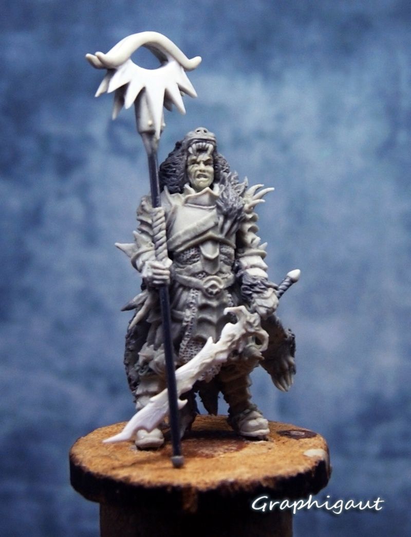 Idruaada, Warlock Lord of Baalor, Mierce minis