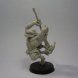 Orc Warrior 1(Shieldwolf miniature)