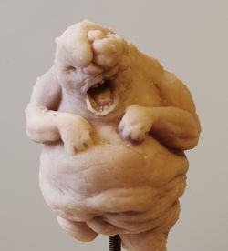 Malformed Foetus #1 : the sculpt