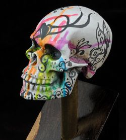 The Pretty Skull