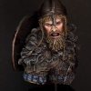 Viking fury