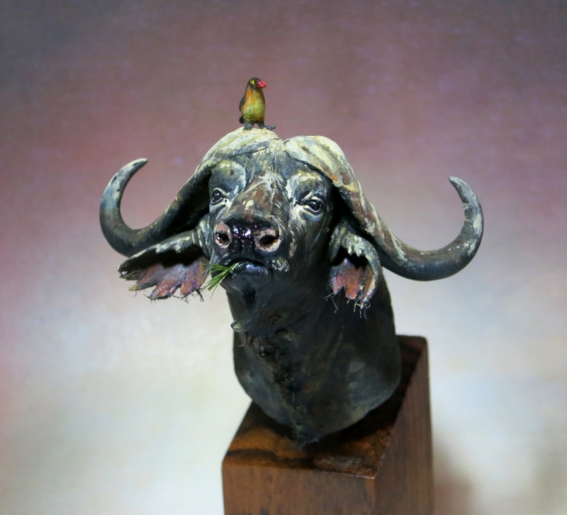 Buffalo bust