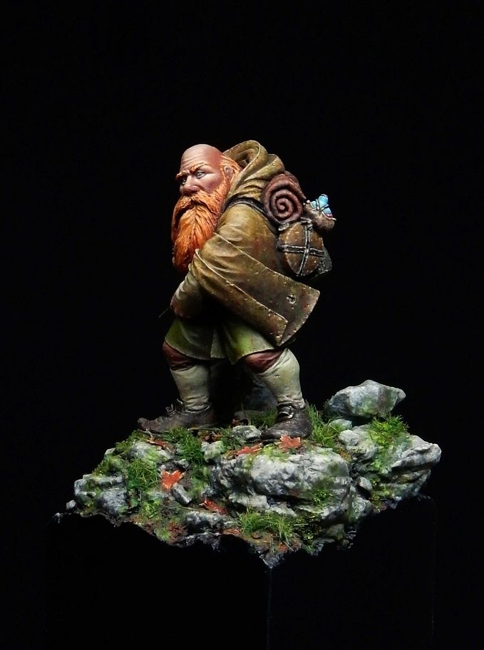 Dwarf adventurer