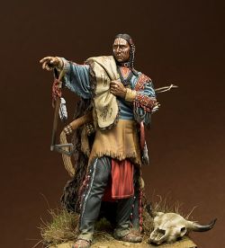 Noble Sioux Warrior